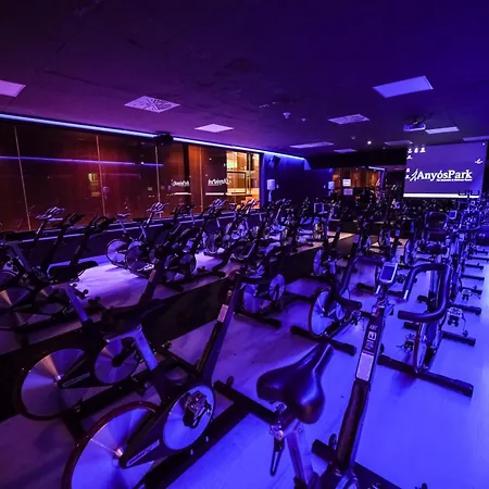 Anyospark Mountain & Wellness 4* Anyós